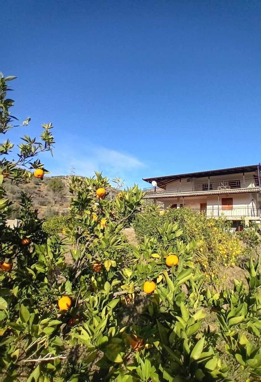 Guest House Xhaferaj Berat Exteriör bild